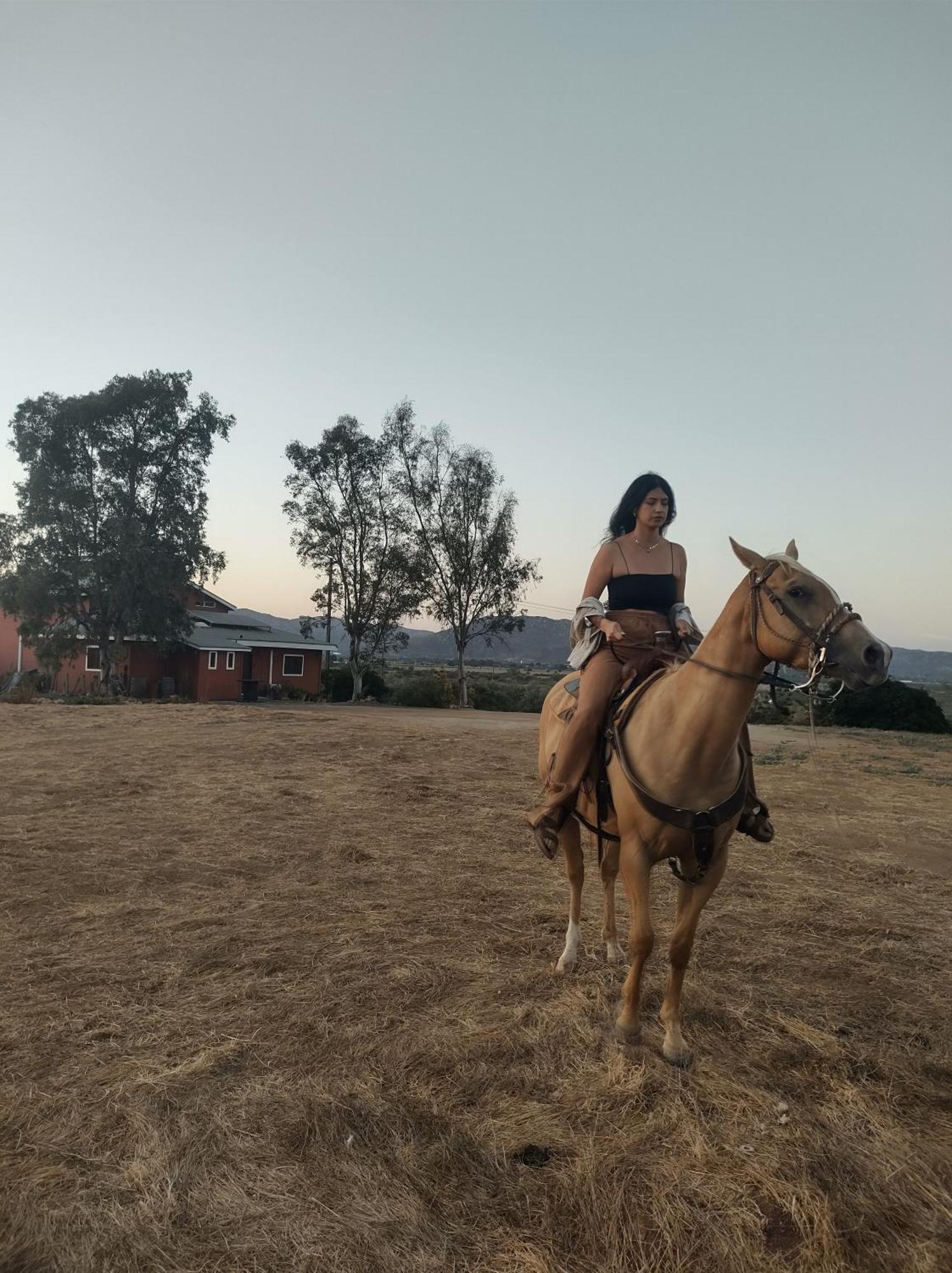Rancho Los Amigos Cabin Lodge เอนเซนาดา ภายนอก รูปภาพ